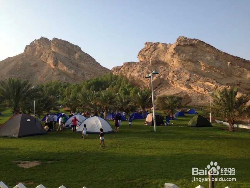 沿途的风景在我的镜头里,更在我心里 迪拜篇