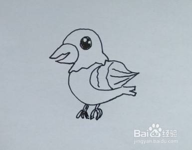 幼儿简笔画：如何一步一步画鹦鹉