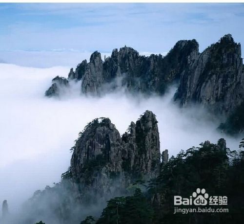 庐山云雾茶冲泡方法
