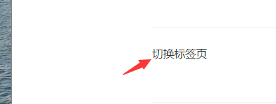 里讯浏览器如何设置切换标签页选项