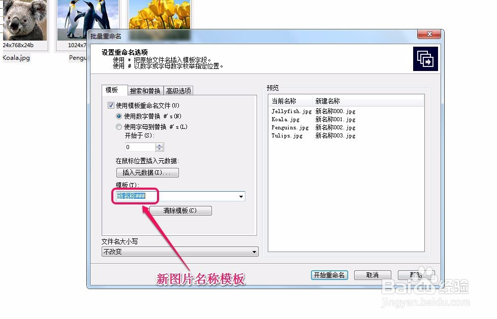 acdsee如何批量(大量多张)重命名(修改名称)图片