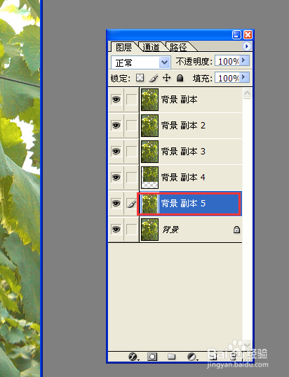 用PS复制背景图层的6种方法