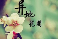 怎么维持好一段异地恋？