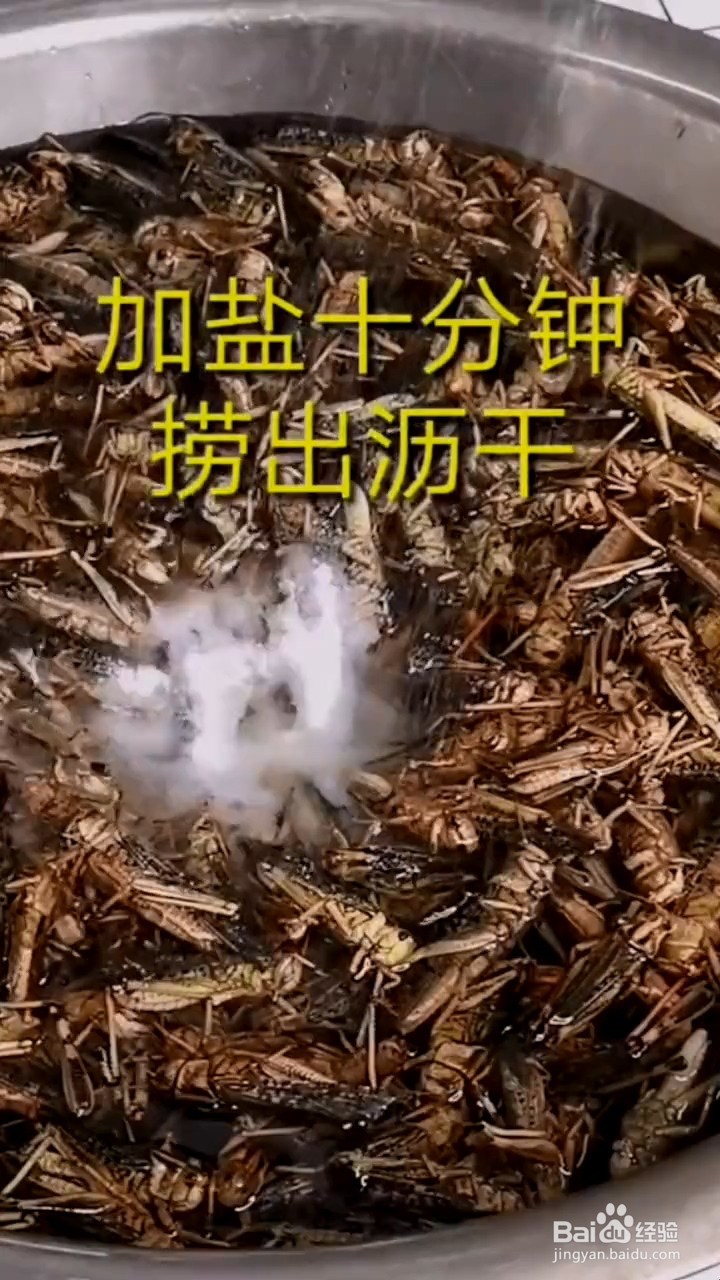 如何弄清炸蚂蚱香味十足