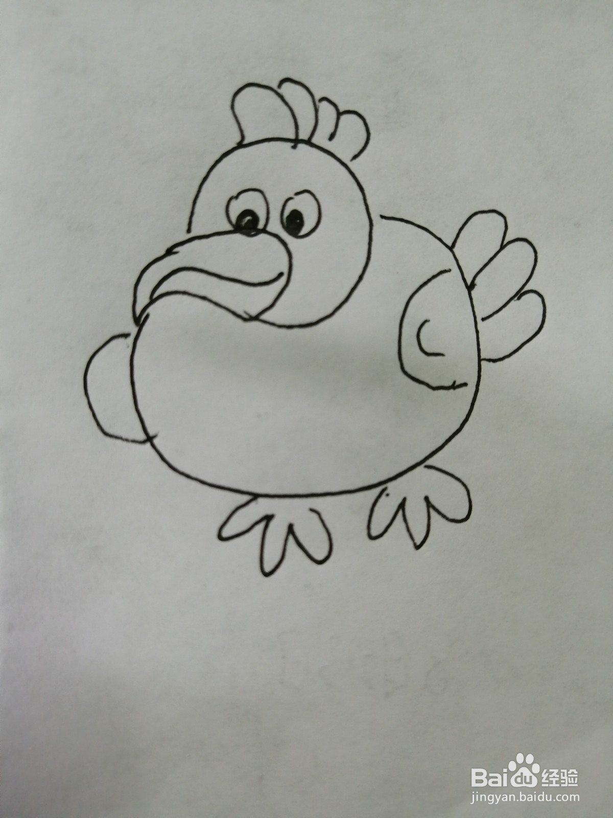 <b>简笔画可爱的火鸡怎么画</b>