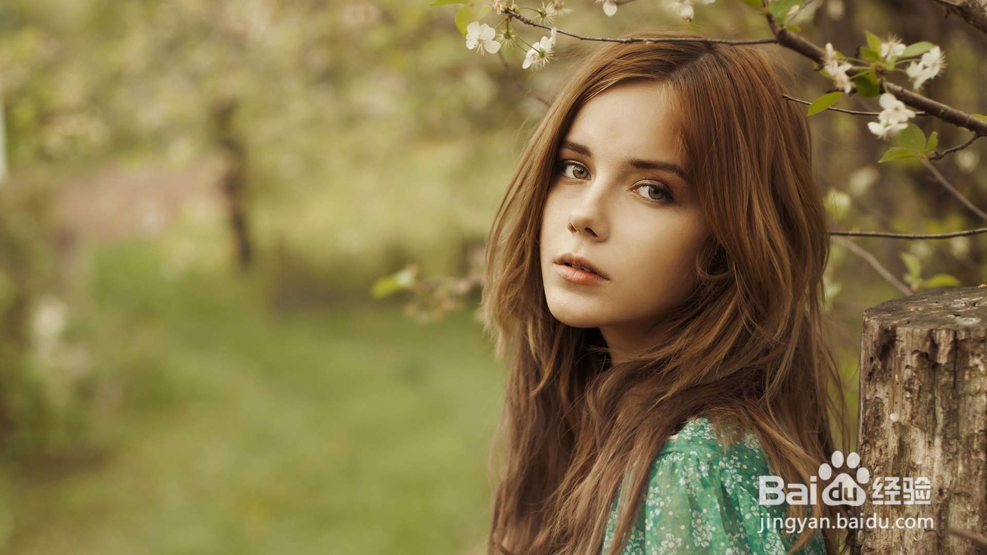 吃什么水果可以美白