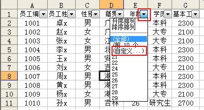 Excel怎样自定义筛选