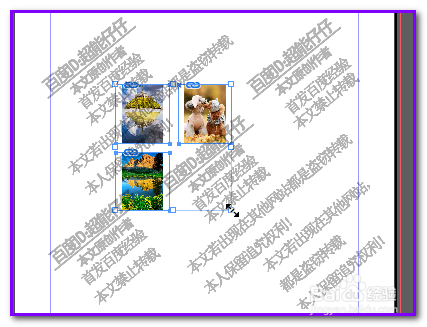 InDesign 快捷技巧:批量快速调整图片大小方法