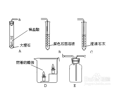 二氧化碳检验方法?