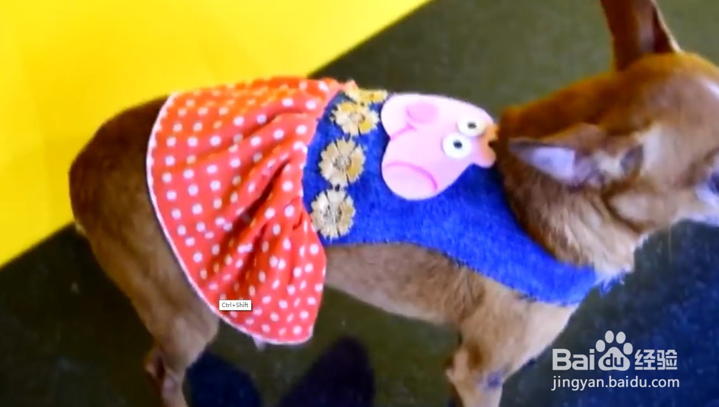 小狗的衣服怎么做步骤视频