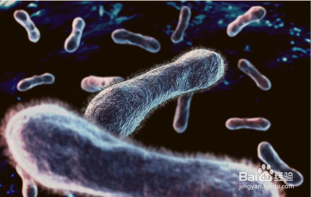 尖锐湿尤为何复发