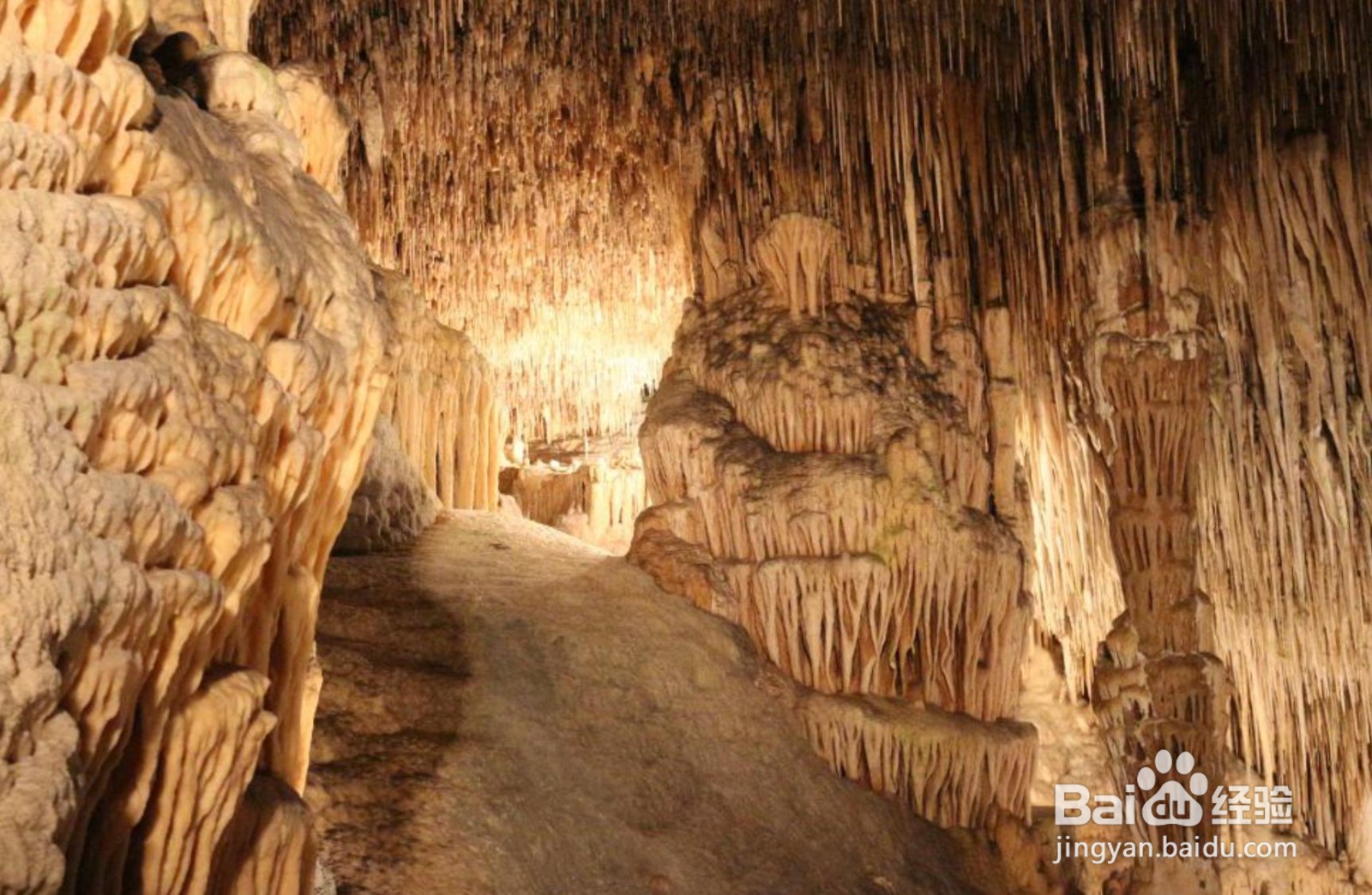 溶洞里的钟乳石是怎样形成的