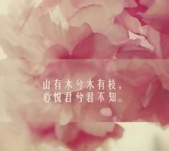 暗恋她,是否对她表白