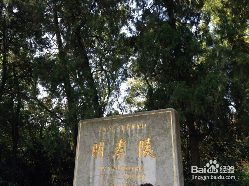 苏州南京六天五夜旅游攻略