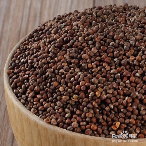 初中生物:种子萌发的条件