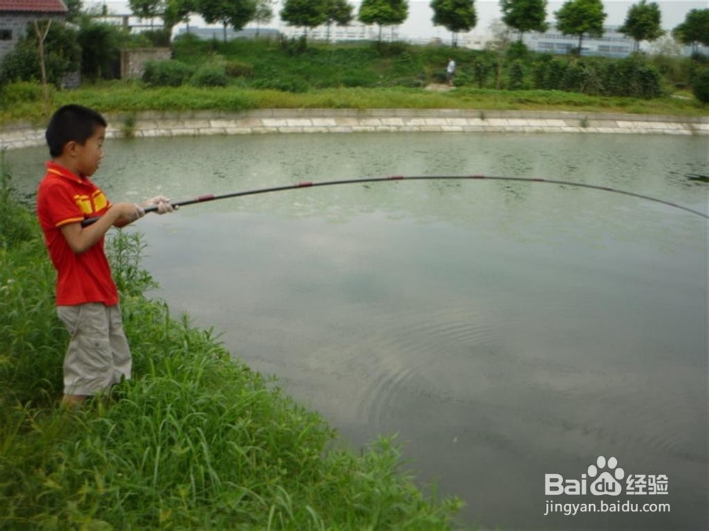 根据鱼的栖息和觅食习性选择钓位和钓点