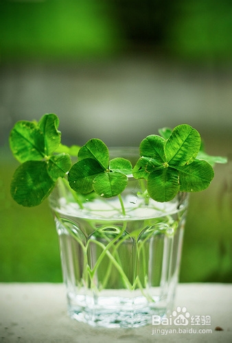 暴晒后如何美白