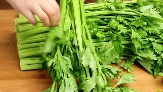芹菜叶子为什么要扔掉