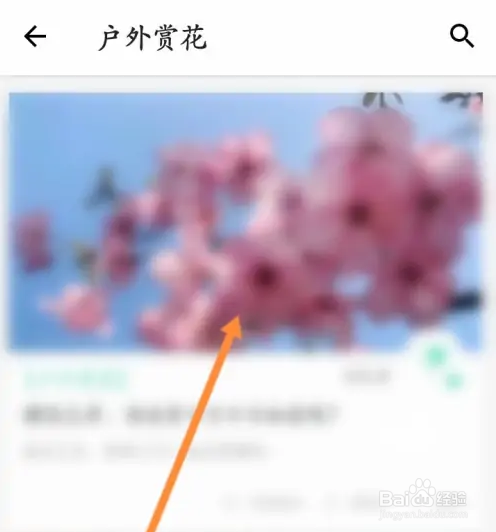 形色软件户外赏花内容怎么查看