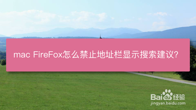 <b>mac FireFox怎么禁止地址栏显示搜索建议</b>