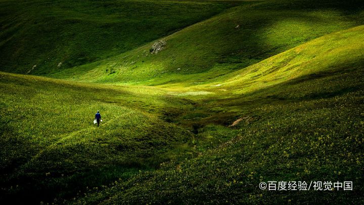 种草坪的步骤