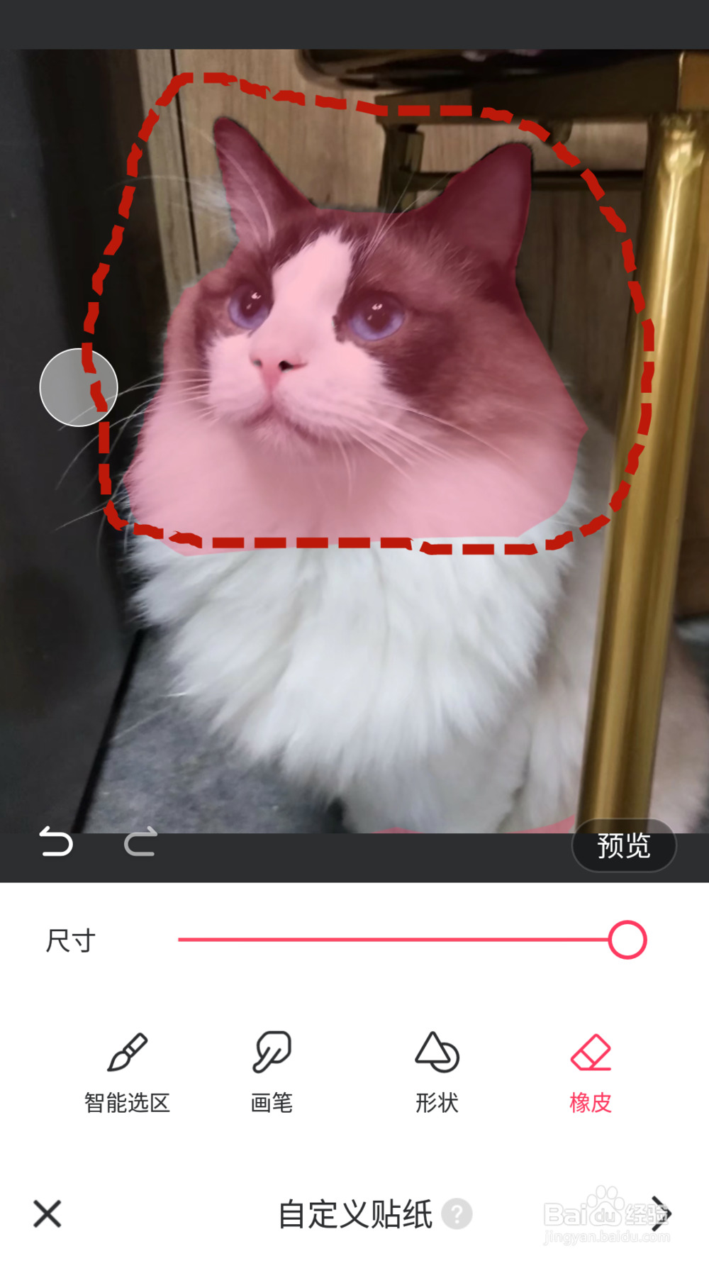 高级泡泡图怎么p