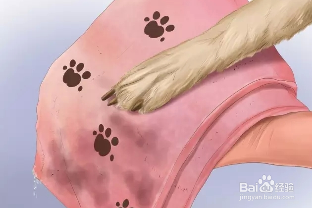 夏季狗狗中暑怎么办？如何预防？