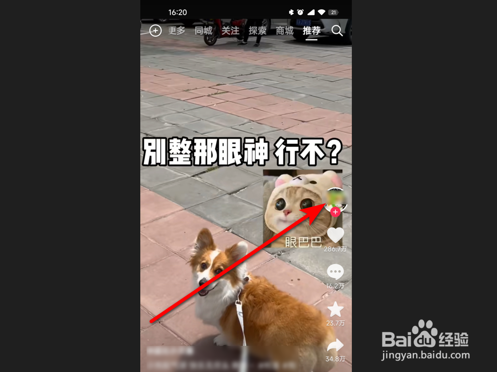 抖音如何私信给作者