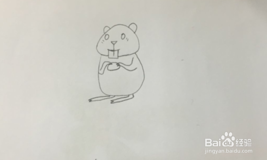如何画贪吃可爱的小松鼠