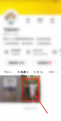 快手怎么把私密作品设为公开状态