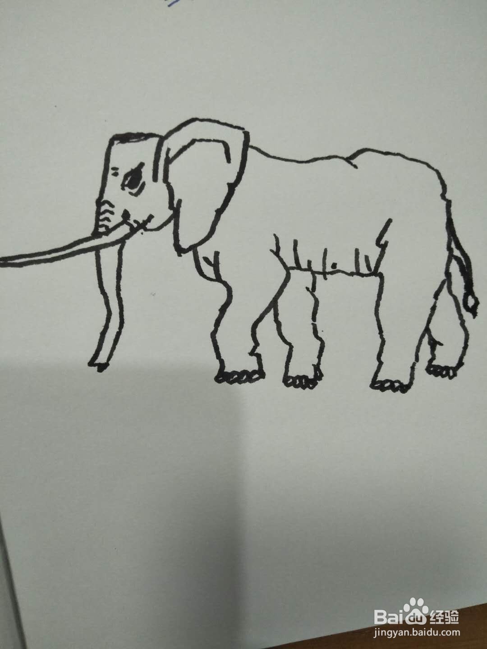 简笔画之大象侧面