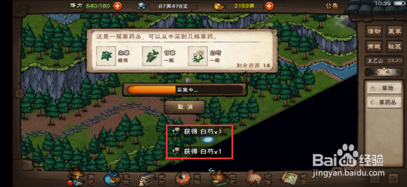 烟雨江湖白芍怎么获得