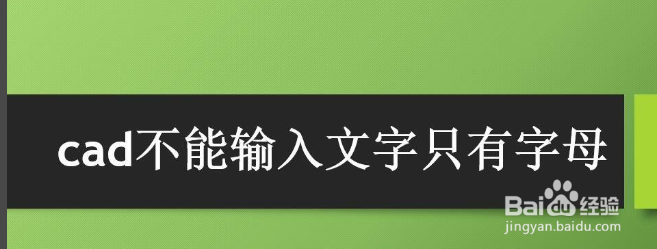cad只输入字母不能输入文字怎么办