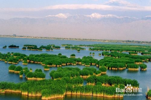 宁夏有哪些好玩的地方