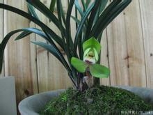 教您如何消除新房装修后的异味