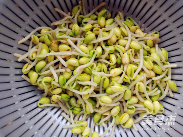 素炒豆芽的做法