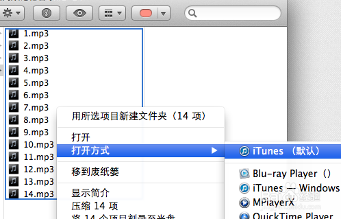 Mac osx端iTune终极技巧 删除歌曲 可视化效果