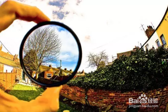 秋季如何拍出好照片？看完这篇文章你就全懂了！