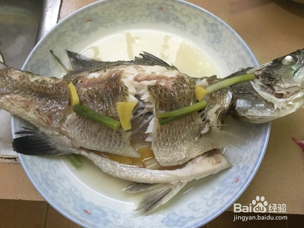 清蒸盲曹鱼（金目鲈鱼）的做法
