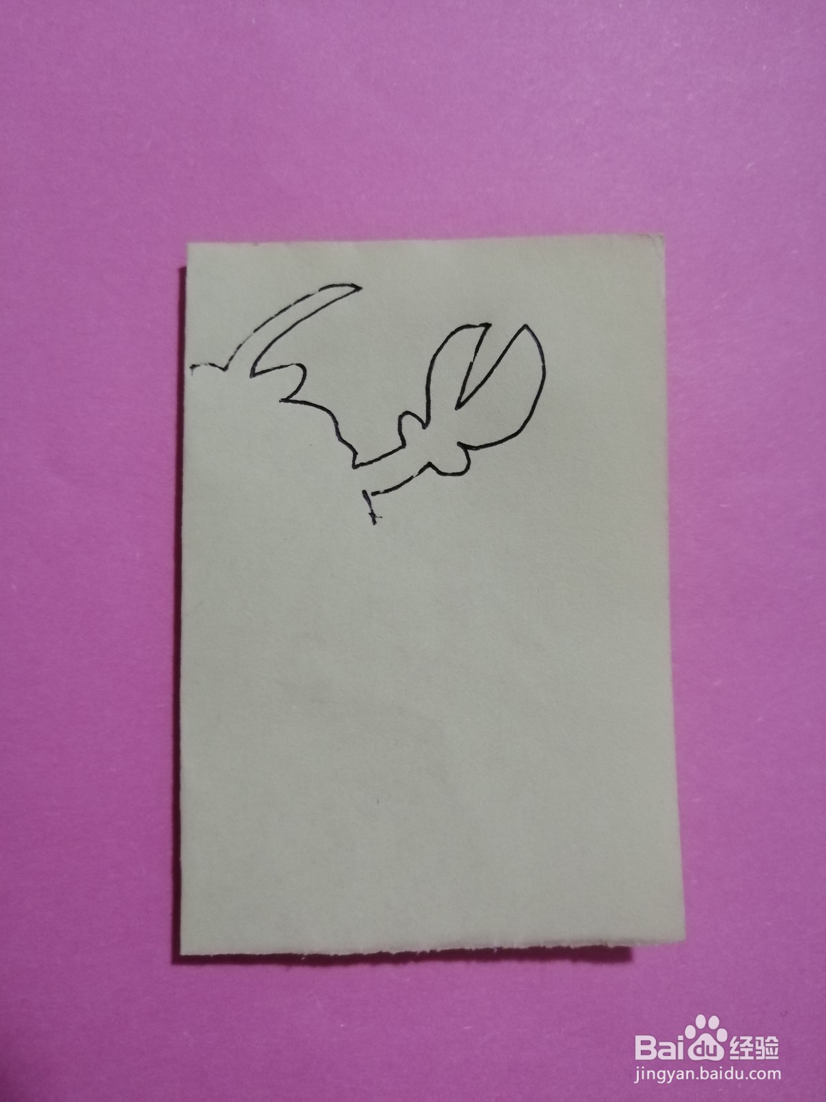 简单的龙虾怎么剪