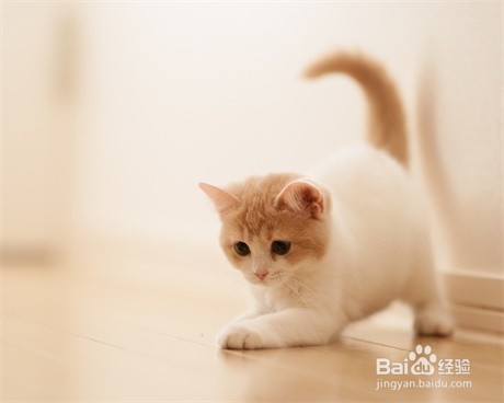 为什么人人都说睡美容觉一定要在11点至凌晨1点?