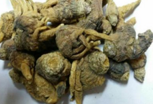 玛咖怎么吃？玛咖有哪些功效与作用？