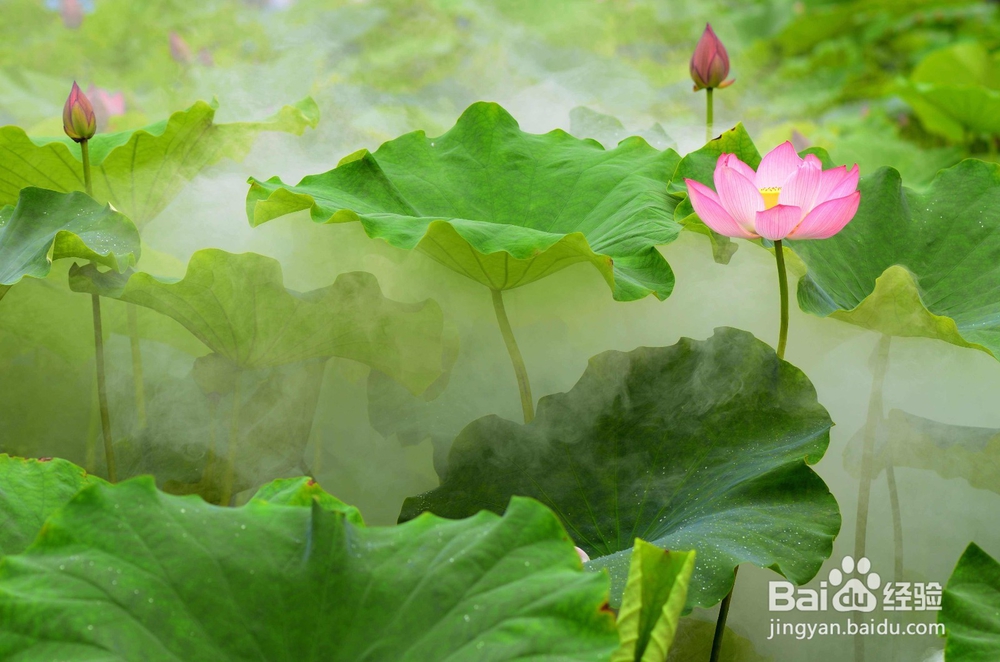 什么季节治疗汗管瘤效果最好?