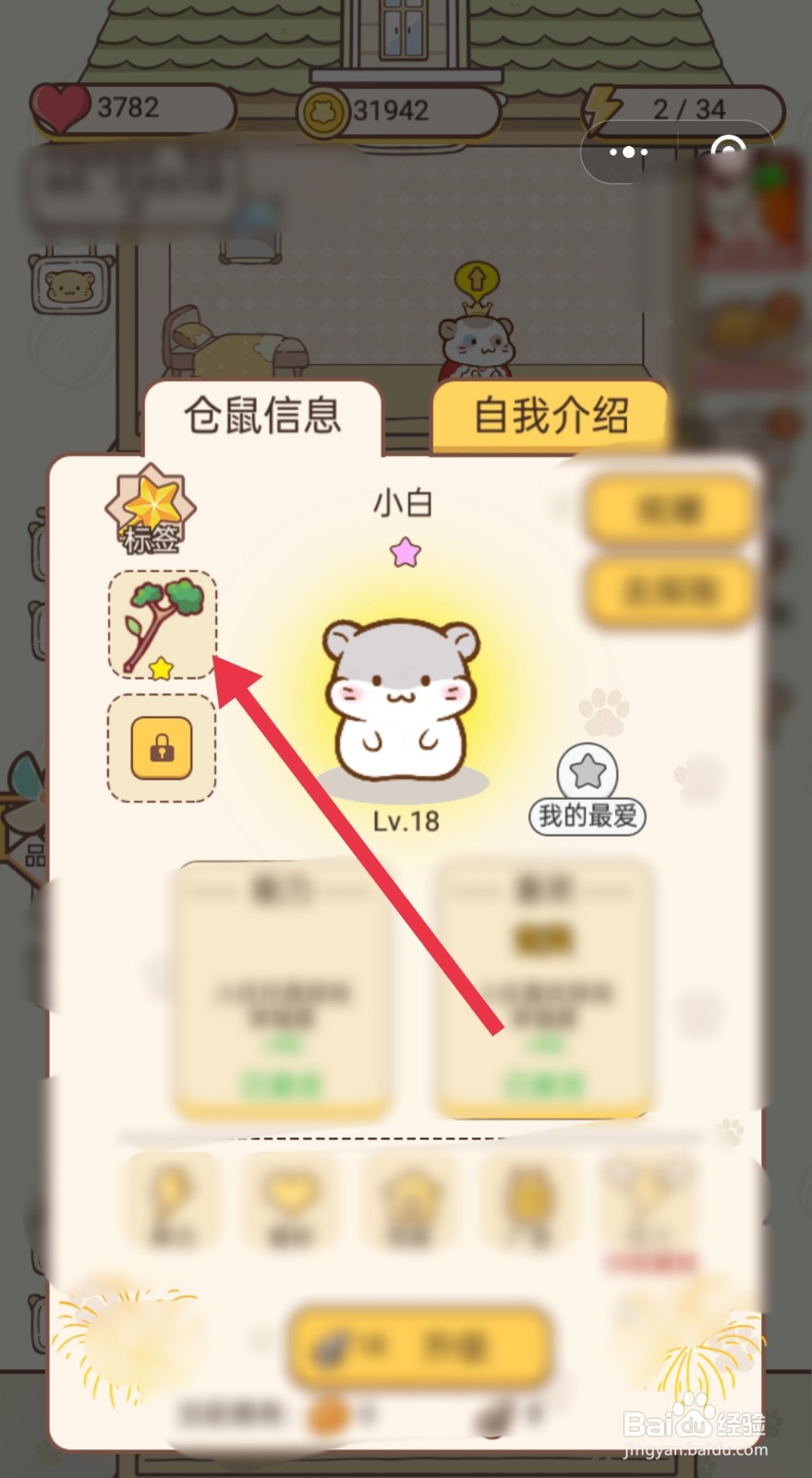 仓鼠公寓怎么给仓鼠添加玩具