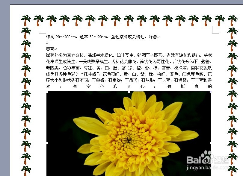 怎么给Word页面上添加一个漂亮的边框