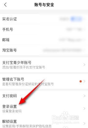支付宝是如何开启登录保护