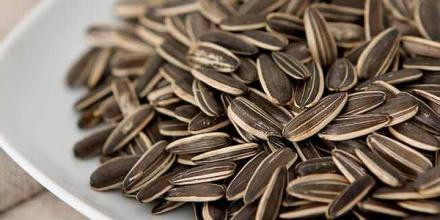 叫花鸡瓜子分享吃瓜子的好处与坏处