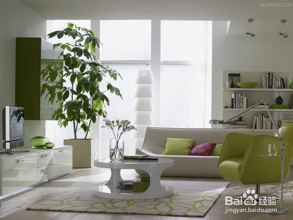 家里一定要摆放这几种绿植，保你财旺，运气旺