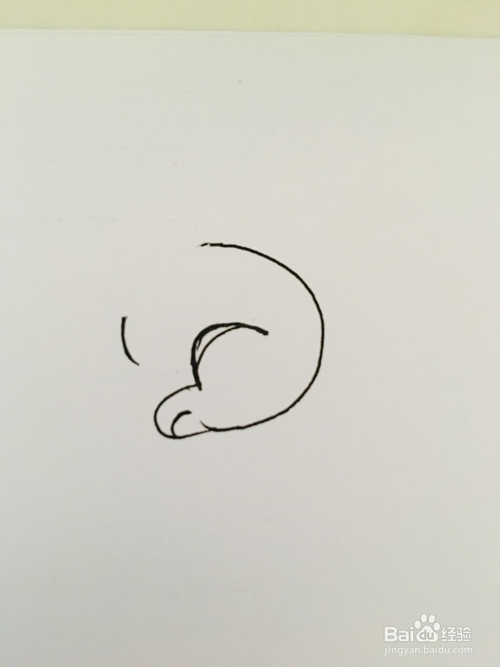 幼儿简笔画动物：小白兔的画法