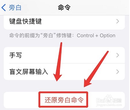 怎样一键还原iphone设置的旁白命令
